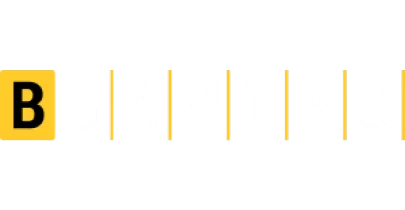 partners who work with bigboost